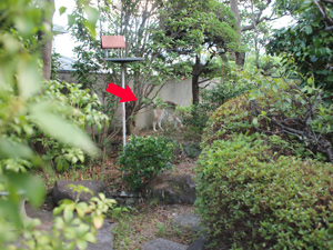 c0012120_233852100.jpg