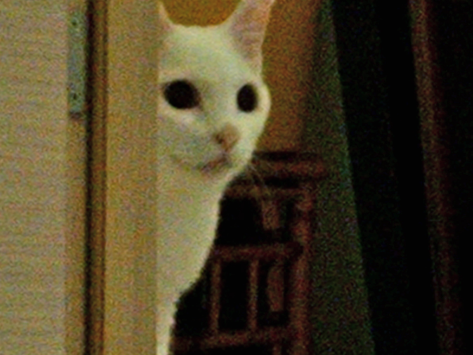 知り合いの_a0168922_1721377.jpg