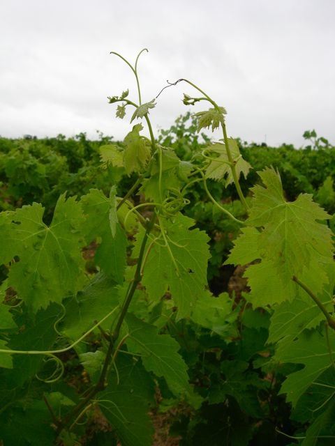 c0188527_14969.jpg