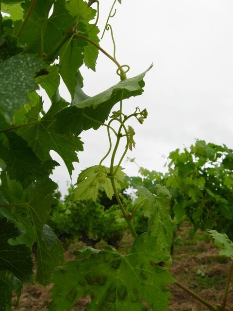 c0188527_1501318.jpg