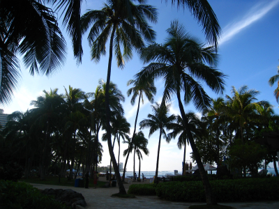 Good Morning  WAIKIKI !_b0074036_22414632.jpg