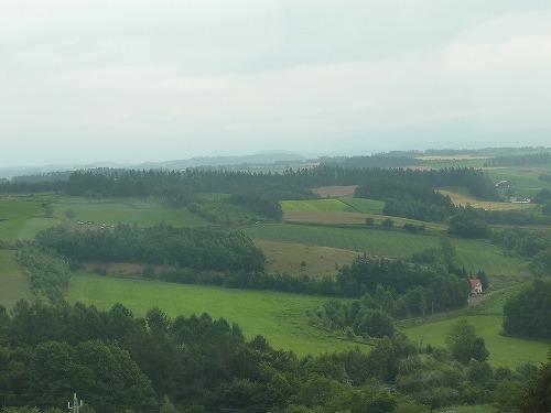 北海道ガーデン巡り　美瑛・上野ファーム・深山峠_a0076237_115491.jpg