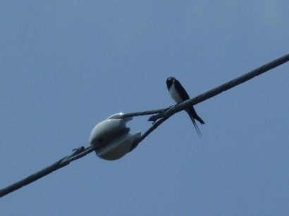 b0169238_2284524.jpg