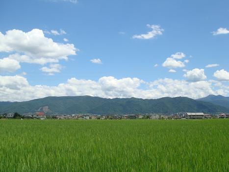 a0014840_20372830.jpg