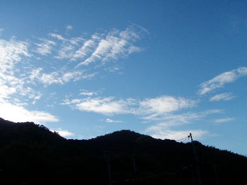 a0054240_21131664.jpg