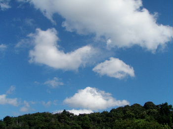 a0054240_21132993.jpg