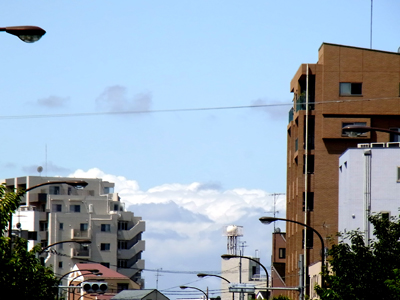 b0019140_12442022.jpg