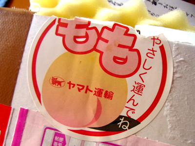 b0019140_1246071.jpg