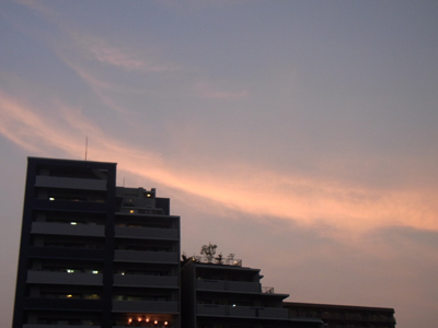 b0019140_12535499.jpg