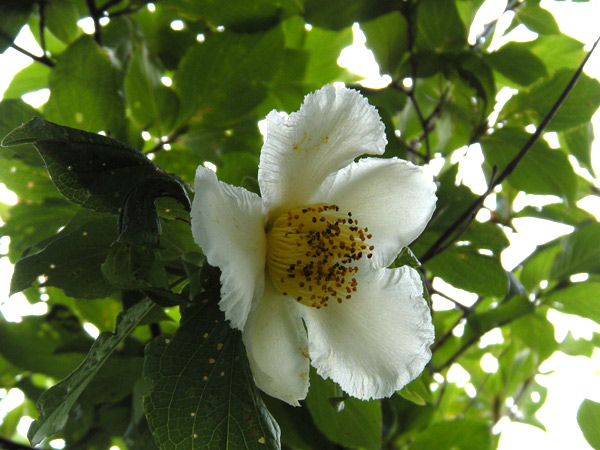 c0047341_1823402.jpg