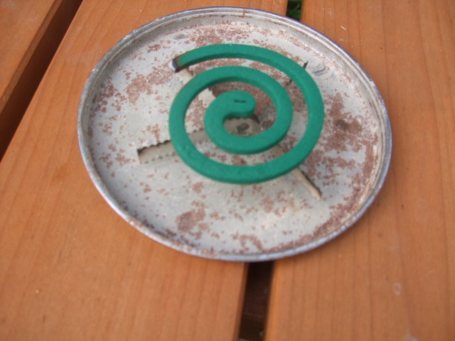 e0085543_72702.jpg