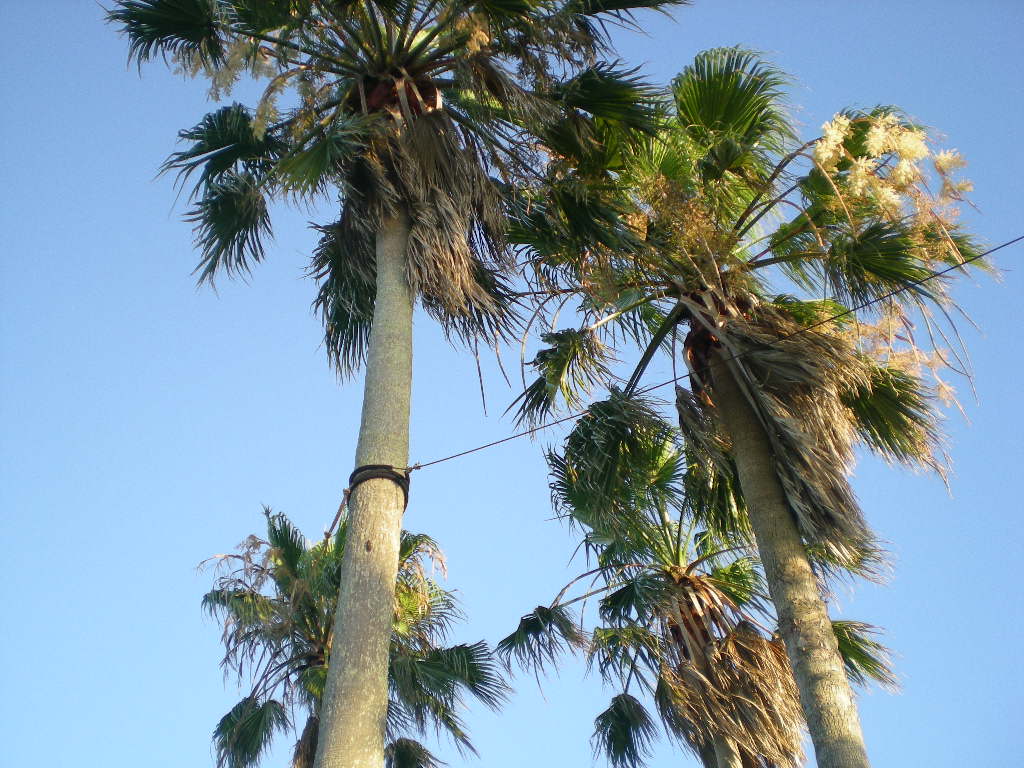 2010年8月4日(水)実家に行ってきたよ~!_f0060461_926559.jpg