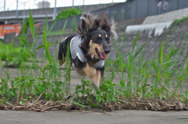 f0179061_2015020.jpg