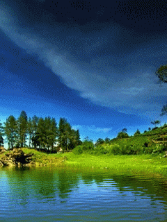 a0063364_0235388.gif
