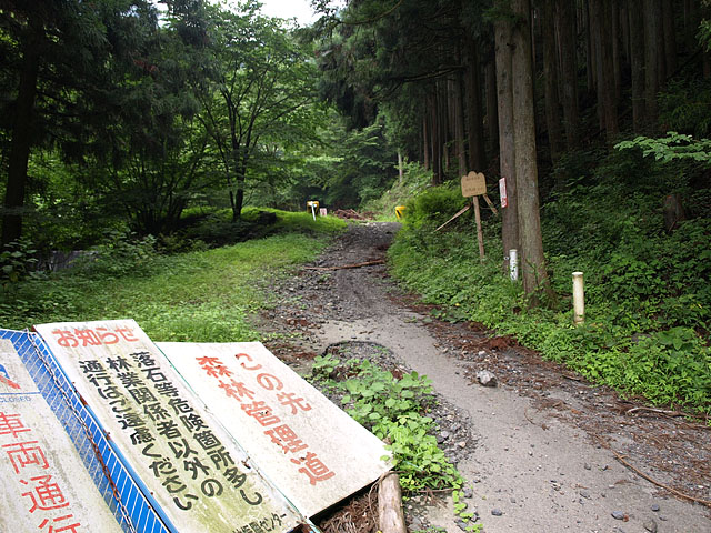 b0006870_65826.jpg