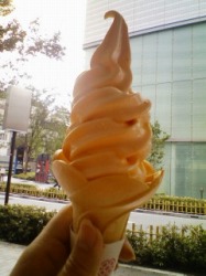 夏真っ盛り!_a0087471_142886.jpg