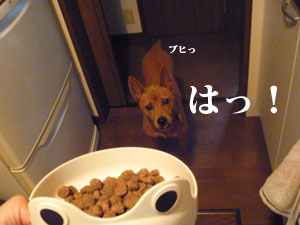f0238772_1523338.jpg