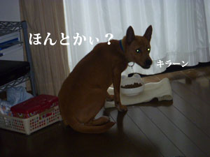 f0238772_152372.jpg