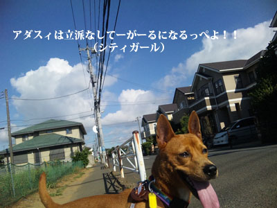 f0238772_15575646.jpg