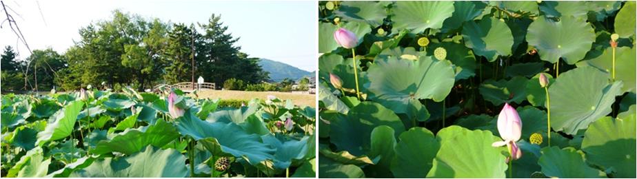 日帰りで岡山へ_e0148373_1044080.jpg