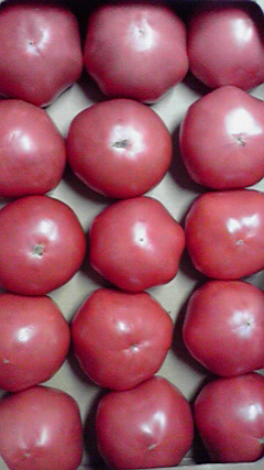 e0184573_23302044.jpg