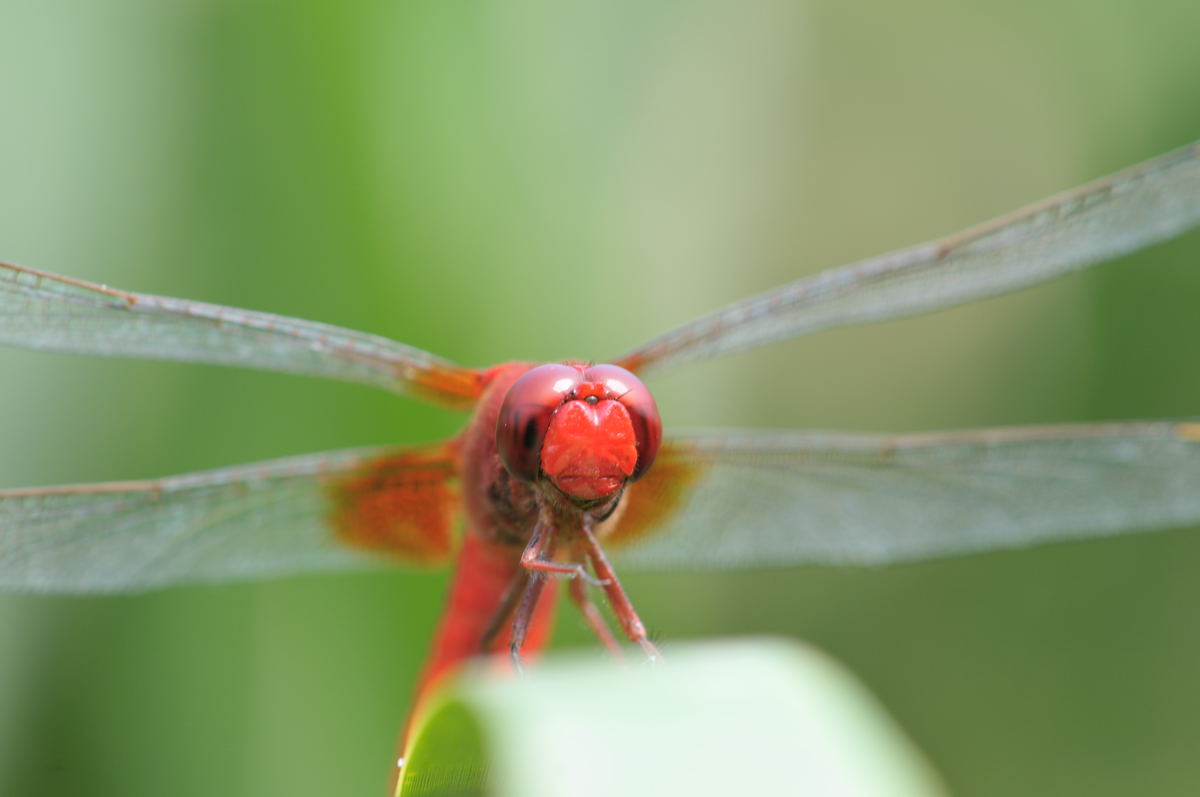 a0144081_20154045.jpg