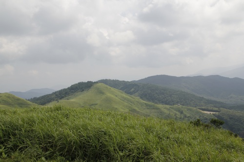 b0173886_10333970.jpg