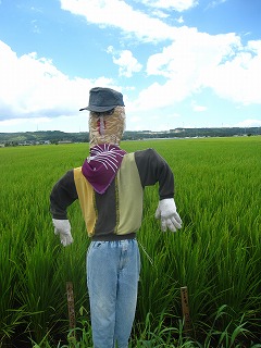 f0234087_2022315.jpg