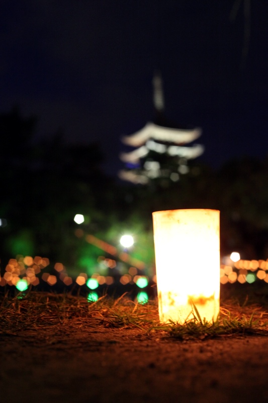 燈花会2010はじまり～_c0043403_23464835.jpg