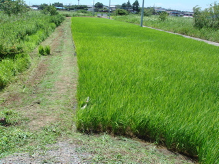 f0209103_23504954.jpg