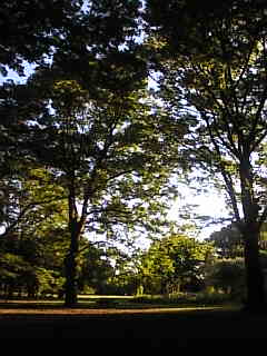 d0052904_1862839.jpg