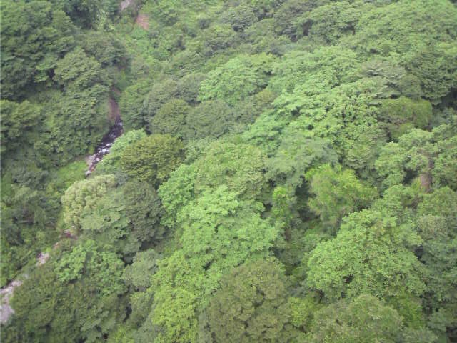 f0024708_12483842.jpg