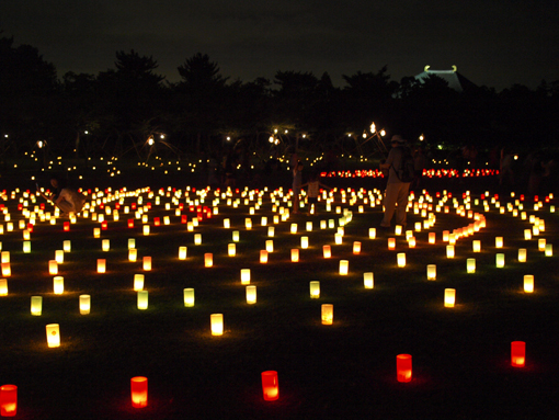 ちびっこと燈花会_d0051613_23375972.jpg