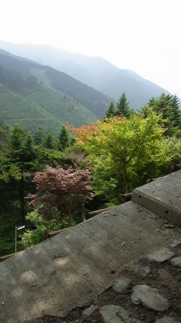 e0122013_13554946.jpg