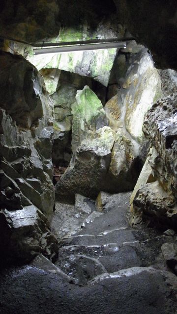 e0122013_13564714.jpg