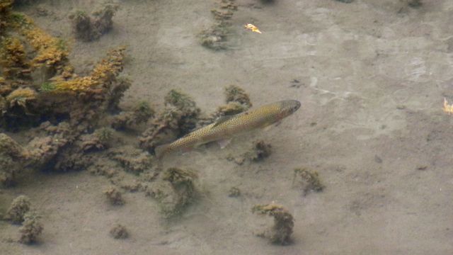 e0122013_17162519.jpg