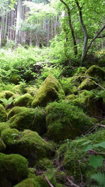 e0122013_17321696.jpg