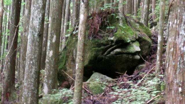 e0122013_17324995.jpg