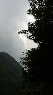 e0122013_17414358.jpg