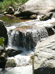 e0097615_19252959.jpg