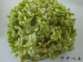c0207719_1021090.jpg