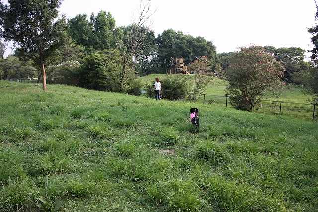 日曜日は水元公園　その１_e0162524_12114773.jpg