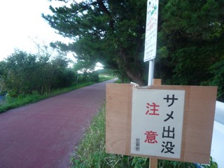 2010夏休み初日。わんこ散歩。走行距離０km_f0233328_9512683.jpg