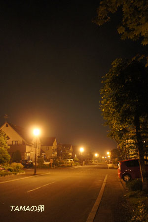 c0024729_21235312.jpg