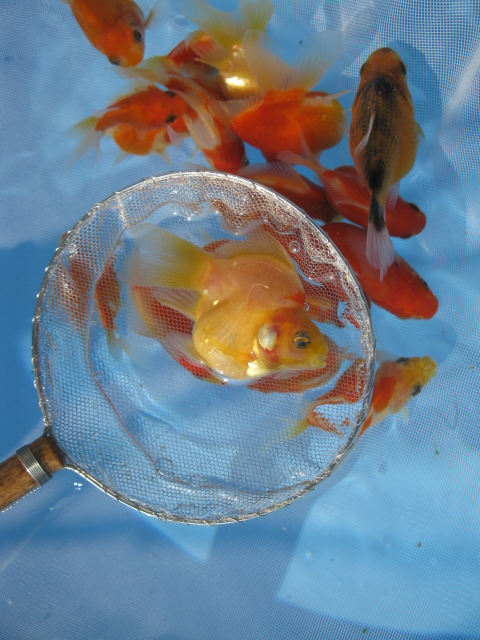 f0214235_17581245.jpg