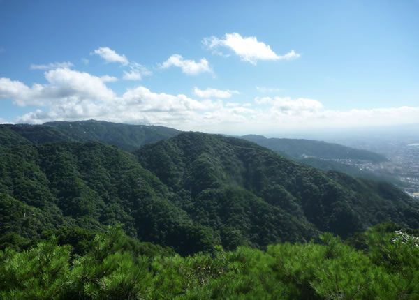 トレラン 菊水山〜鍋蓋山〜摩耶山〜長峰山 登り三昧でお腹いっぱい_c0071438_10531246.jpg