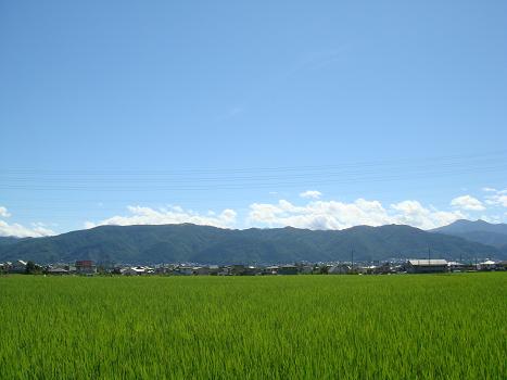 a0014840_2232076.jpg