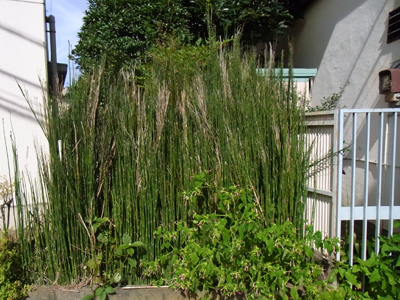 b0019140_1246218.jpg