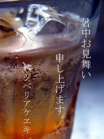 a0074650_22582799.jpg