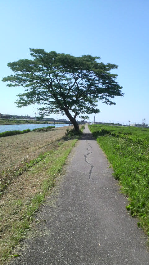熱中症対策！_c0110051_9483389.jpg